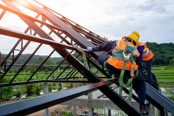 Roof Gutter Cleaning in Corydon, IA