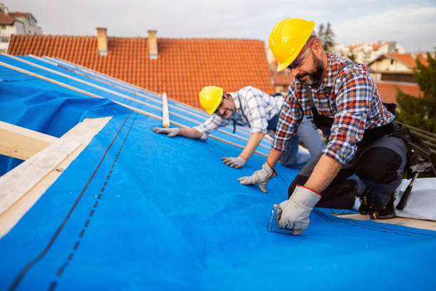 Best Flat Roof Repair Services  in Corydon, IA